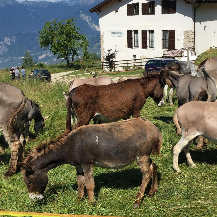 Gasthaus Trentino In Malga: Malga Zanga Arco Exterior foto
